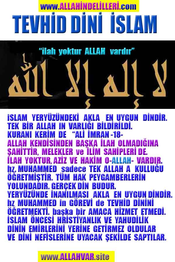 allahin delilleri, allah in delilleri, allah-delilleri, allah var delilleri, allahin varliginin delilleri