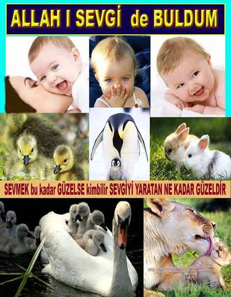 allahin delilleri, allah in delilleri, allah-delilleri, allah var delilleri, allahin varliginin delilleri