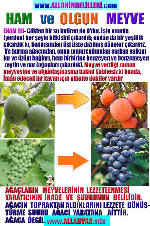 allahin delilleri, allah in delilleri, allah-delilleri, allah var delilleri, allahin varliginin delilleri