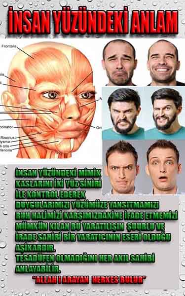 allahin delilleri, allah in delilleri, allah-delilleri, allah var delilleri, allahin varliginin delilleri