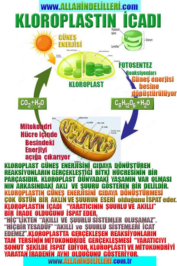 allahin varliginin delilleri