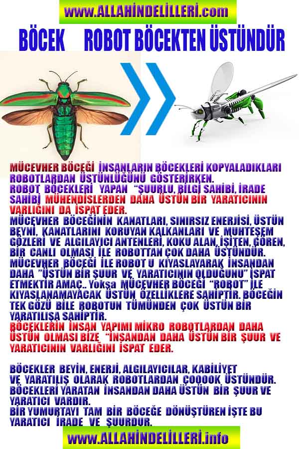 allahin delilleri, allah in delilleri, allah-delilleri, allah var delilleri, allahin varliginin delilleri