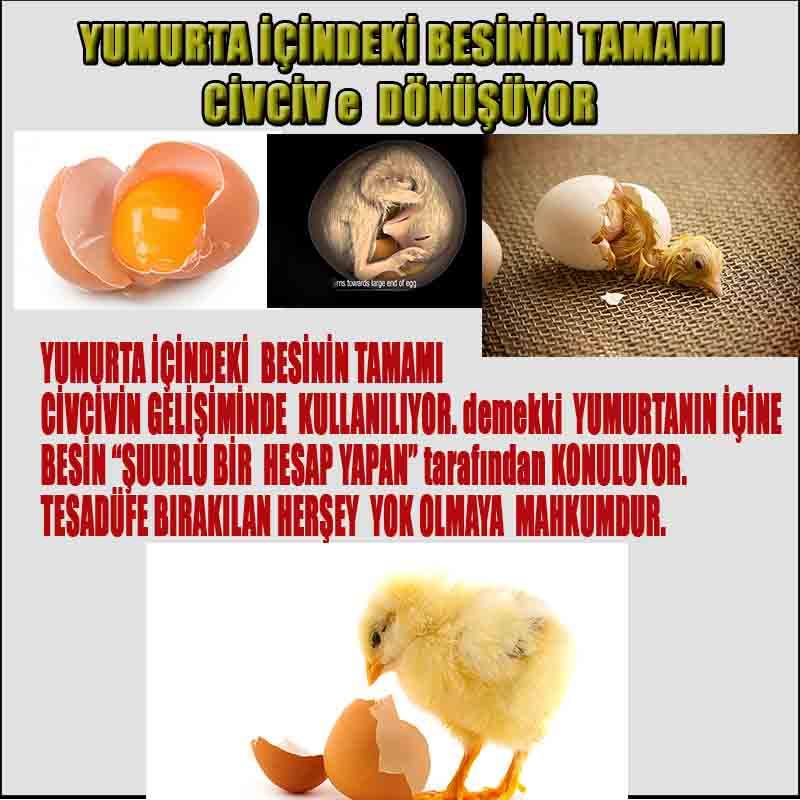 allahin delilleri, allah in delilleri, allah-delilleri, allah var delilleri, allahin varliginin delilleri